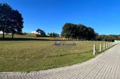 Terreno à venda, 4800 m² por r$ 1.100.000,00 - campo largo da roseira - são josé dos pinhais/pr