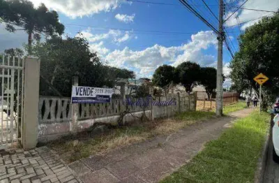 Terreno à venda, 525 m² por r$ 970.000,00 - bom jesus - são josé dos pinhais/pr