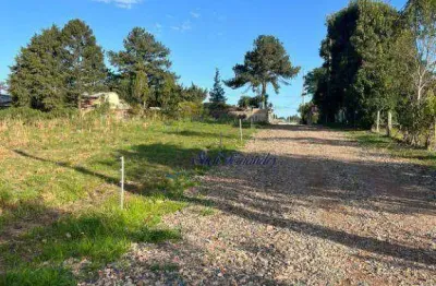Terreno à venda, 1000 m² por r$ 350.000 - colônia mergulhão- são josé dos pinhais/pr