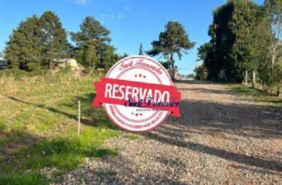 Terreno à venda, 1000 m² por r$ 350.000 - colônia mergulhão- são josé dos pinhais/pr