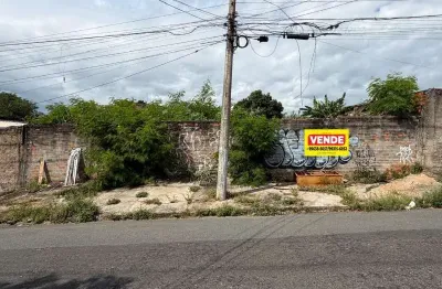 Vendo Terreno no Parque Dom Pedro II ? Ouro Verde, Campinas | Ótima Oportunidade na Avenida Coacyara, Excelente Localização para Morar ou Investir