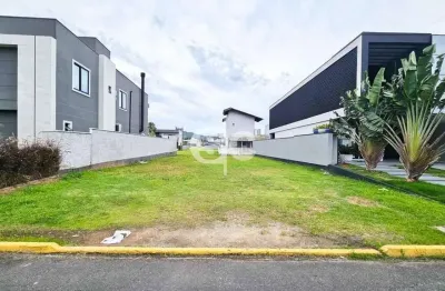 Terreno à venda no Santa Regina, Camboriú 