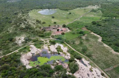 Fazenda completa à venda em olivedos/pb: 281 hectares com infraestrutura e potencial!