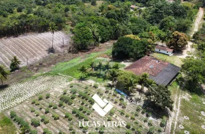 Granja/sítio à venda no conde, c/ 16 hectares e c/ 2 rios perenes