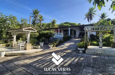 Chácara de 12 hectares em mamanguape - excelente infraestrutura e riqueza de água