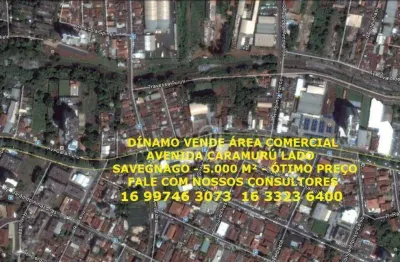 Terreno comercial à venda no República, Ribeirão Preto 