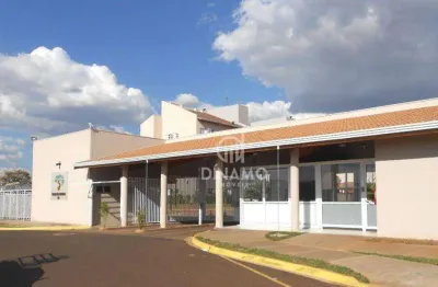 Apartamento à venda, 75,25 m² - jardim são josé - ribeirão preto/sp