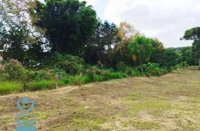 Oportunidade única. terreno à venda, 2499 m² por r$ 1.272.000 - santa felicidade - curitiba/pr