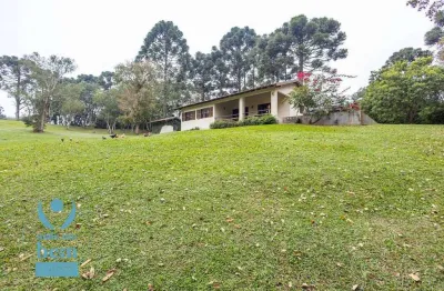 Belíssima chácara com 3 dormitórios à venda, 6000 m² por r$ 1.400.000 - salgadinho - campo largo/pr