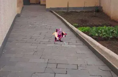 Casa com 2 dormitórios à venda, 211 m² por r$ 850.000,00 - vila mussolini - são bernardo do campo/sp