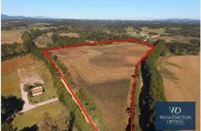 Área à venda, 20045 m² por r$ 1.904.275,00 - campo largo da roseira - são josé dos pinhais/pr