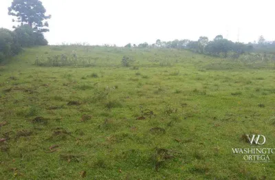 Terreno à venda, 41827 m² por r$ 16000.000 - colônia murici - são josé dos pinhais/pr