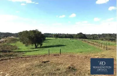 Área à venda, 20500 m² por r$ 2.829.000,00 - campo largo da roseira - são josé dos pinhais/pr