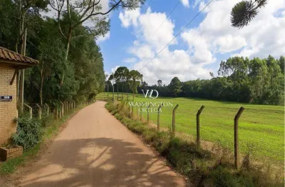 Área à venda, 53240 m² por r$ 6.548.200,00 - borda do campo - piraquara/pr