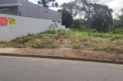 Ótimo terreno  - 646 m²  - jardim aristocrata - são josé dos pinhais