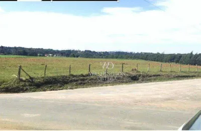 Área à venda, 128000 m² por r$ 27.776.000,00 - campo largo da roseira - são josé dos pinhais/pr