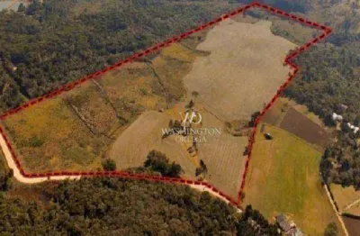 Área à venda, 348444 m² por r$ 27.178.632,00 - roseira - campina grande do sul/pr