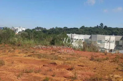 Terreno à venda, 619 m² por r$ 620.000,00 - aristocrata - são josé dos pinhais/pr