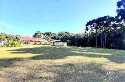Chácara à venda, 7301 m² por r$ 700.000,00 - borda do campo - são josé dos pinhais/pr