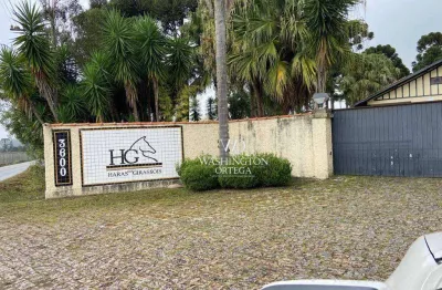 Fazenda à venda na Rua Casemiro Greboge, Miringuava, São José dos Pinhais