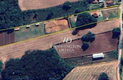 Haras com 4 dormitórios à venda, 21650 m² por r$ 2.595.000,00 - jardim pioneiro - campo magro/pr