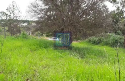 Chácara / sítio com 1 quarto à venda na Rua José Andreolli, 00, Parque Universidade, Londrina