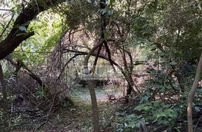 Chácara / sítio com 3 quartos à venda na Rodovia Mabio Gonçalves Palhano, 355, Gleba Fazenda Palhano, Londrina