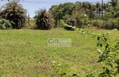 Chácara / sítio com 2 quartos à venda na Rua João Gomes do Nascimento, 58, Esperança, Londrina