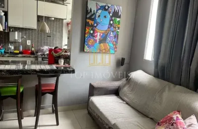 Belo apartamento dois dormitorios no palmeiras sao jose
