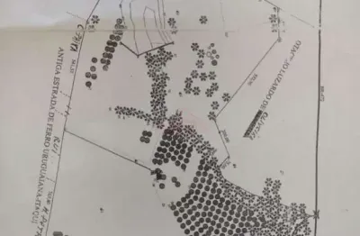 Fazenda à venda na Br 472, --, Imbaá, Uruguaiana