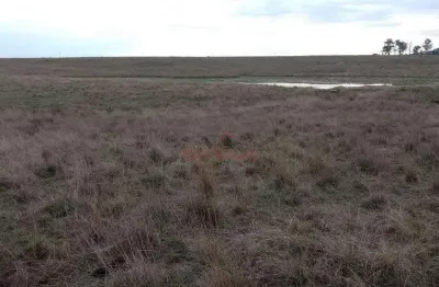 67 hectares de campo sem benfeitorias com boa aguada no plano alto em uruguaiana rs