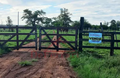 Fazenda para venda  no bairro carumbé em uruguaiana