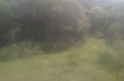 Chácara / sítio à venda no Centro, Caçapava do Sul 