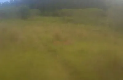 Chácara / sítio à venda no Centro, Caçapava do Sul 