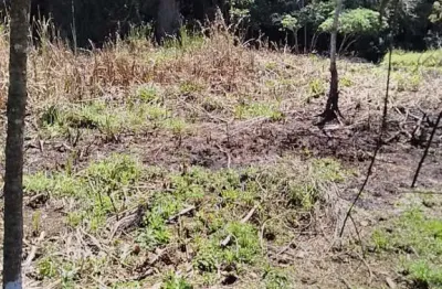 Chácara / sítio à venda na Área Rural, Área Rural de Capão Bonito, Capão Bonito