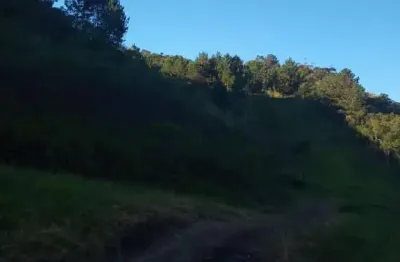 Sítio em guapiara, 9,5 alqueires, casa simples, mangueira, bom de água.