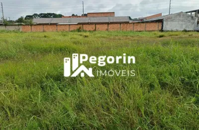 Terreno à venda na Rua Euclides da Cunha Ribas, Vargem Grande, Pinhais