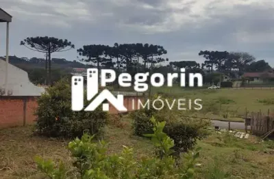 Terreno à venda na Avenida Zumbi dos Palmares, Jardim Apucarana, Almirante Tamandaré