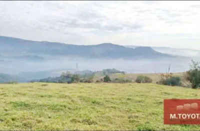 Terreno à venda, 303675 m² por r$ 29.000.000,00 - portal da serra - santana de parnaíba/sp
