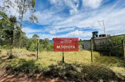 Terreno à venda, 300 m² por r$ 105.000,00 - terra preta - mairiporã/sp