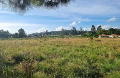 Terreno à venda na rua antonio collere, timbu, campina grande do sul por r$ 680.000