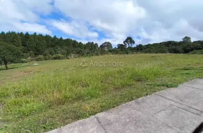 Terreno à venda na nilo favaro, 1000, centro, quatro barras por r$ 450.000