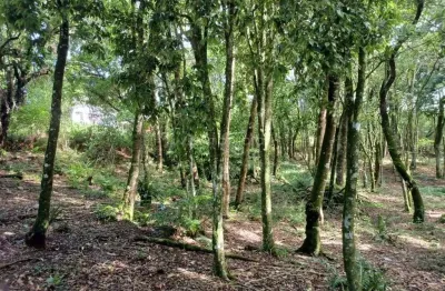 Terreno à venda na izahir lago, 15, borda do campo, quatro barras por r$ 350.000