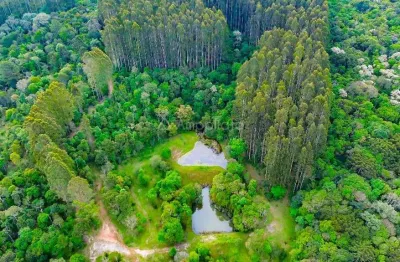Terreno à venda na rua lais gotardi meissner, olhos d' água, campina grande do sul por r$ 3.960.000
