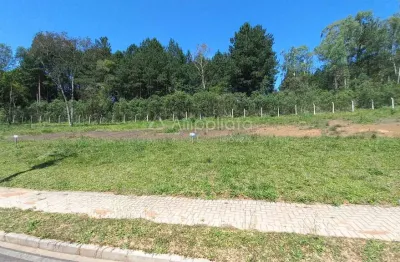 Terreno à venda na benedito simioni, 176, jardim araçatuba, campina grande do sul por r$ 250.000