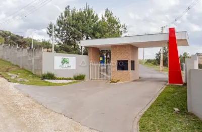 Terreno à venda na estrada do caraguata, 100, zona rural, campina grande do sul por r$ 167.300