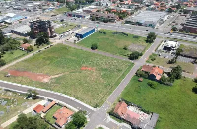 Terreno comercial à venda na rua wanda dos santos mallmann, centro, pinhais por r$ 2.840.216