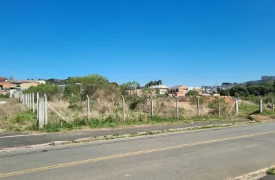 Terreno comercial à venda na luiz de bortoli, 737, cicamp, campina grande do sul por r$ 2.500.000