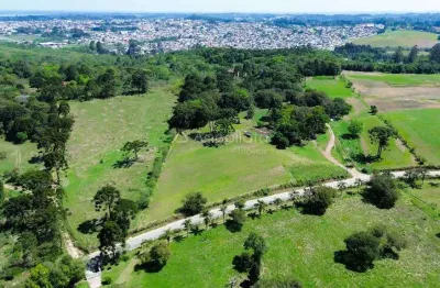 Terreno comercial à venda na avenida lindolfo henrique ferreira, jardim ipanema, campina grande do sul por r$ 6.980.000