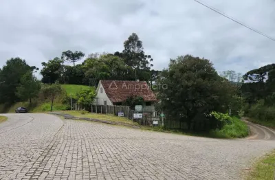 Chácara / sítio à venda na estrada da graciosa, borda do campo, quatro barras, 121000 m2 por r$ 1.090.000